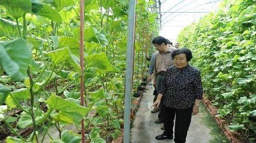 娱乐吃瓜君高压水枪,高压水枪背后的娱乐风云