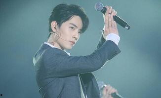 娱乐圈吃瓜肖战王一博,娱乐圈的甜蜜瓜田，揭秘兄弟情深背后的故事