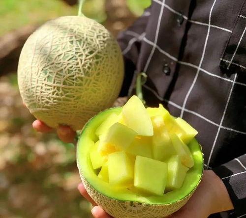 娱乐吃瓜地方,吃瓜群众必看的幕后故事